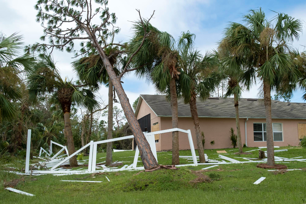 Hurricane Season: A Guide to Ocala Storm Cleanup