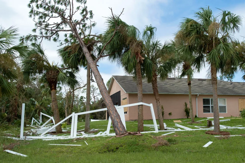 Hurricane Season: A Guide to Ocala Storm Cleanup